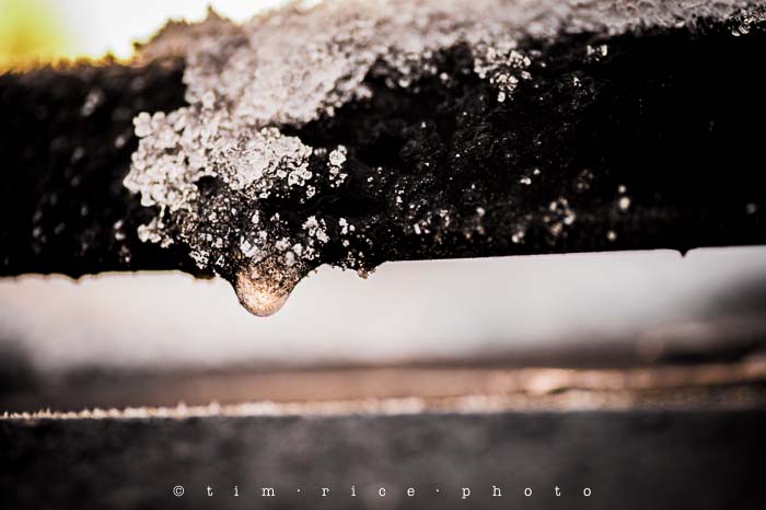 Yr5•150-365•1603•Mother Nature's Roshak_