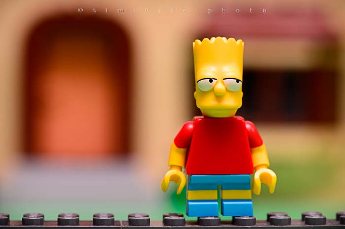 Yr5•150-365•1607•El Barto