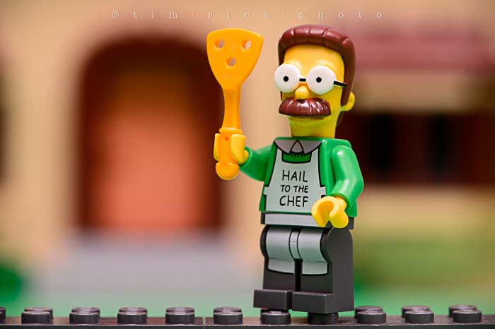 Yr5•151-365•1607•El Barto