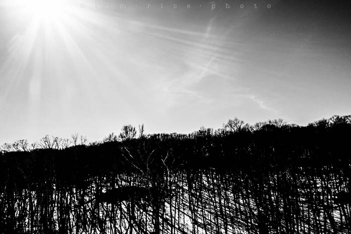 Yr5•157/365•1618 Bright Day in Black & White March 6, 2014