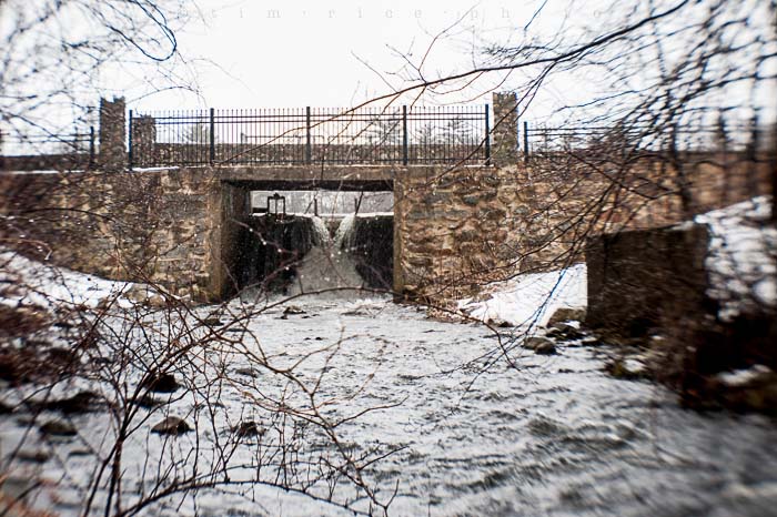 Yr5•158-365•1619•Anna