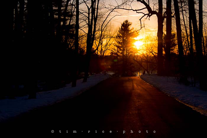 Yr5•168/365•1629 Road to Sun March 18, 2014