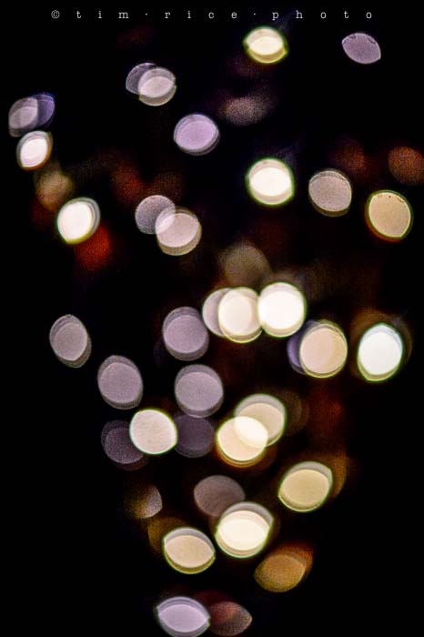 Yr5•173-365•1633•Freelensing
