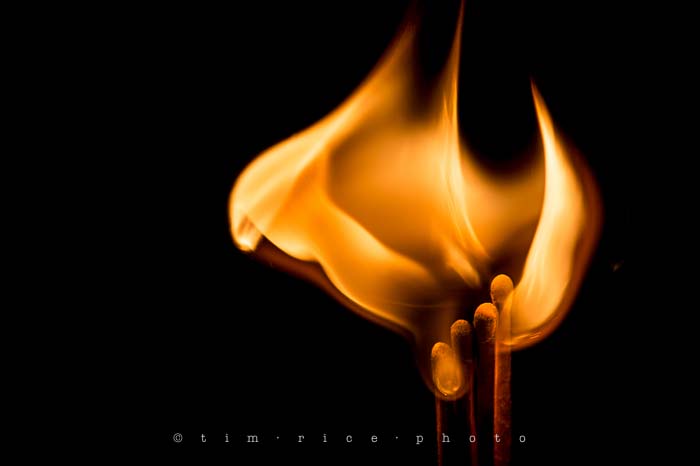 Yr5•175/365•1636 Combustion March 25, 2014