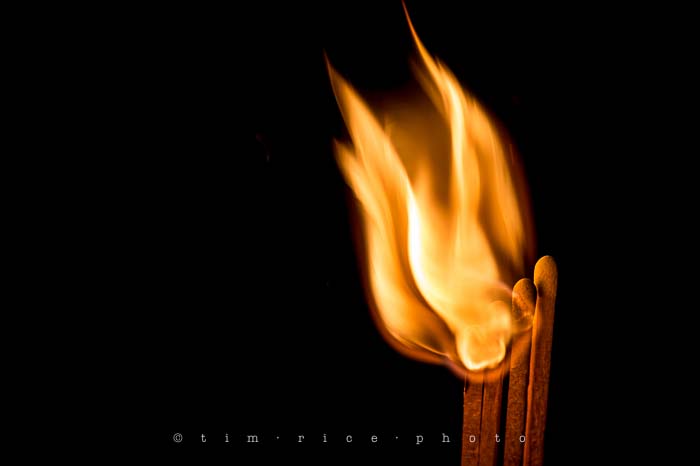 Yr5•175-365•1636•Combustion