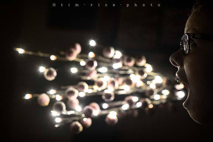 Yr5•176-365•1633•Freelensing