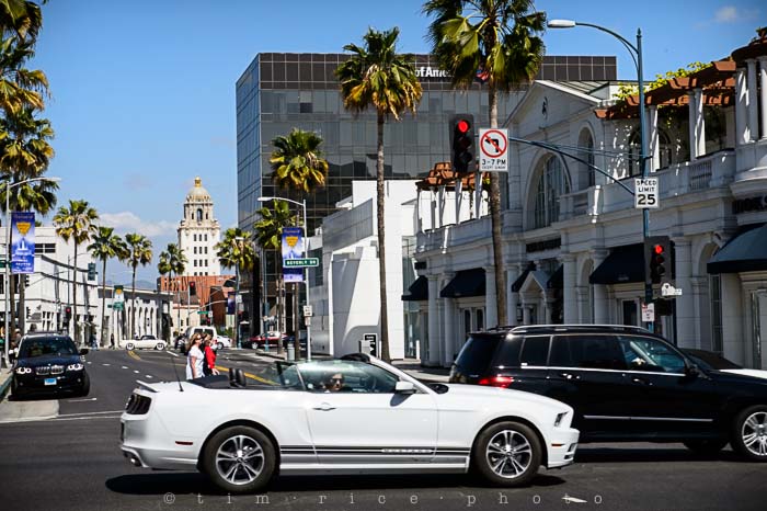 Yr5•181-365•1642•Guests of