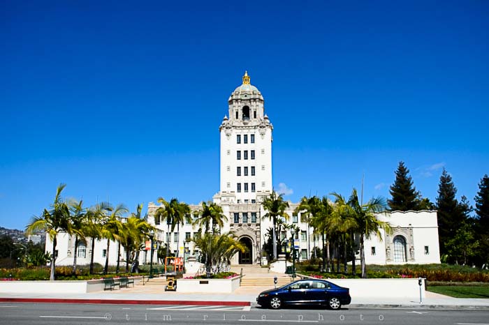 Yr5•182-365•1642•Guests of