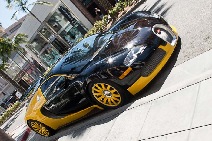 Yr5•184-365•1642•Guests of