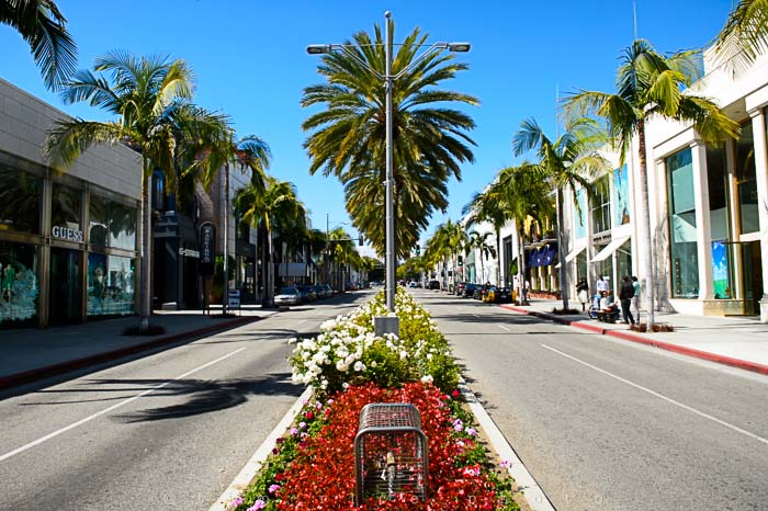 Yr5•185-365•1642•Guests of