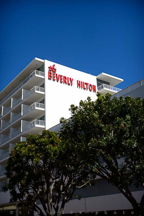 Yr5•186-365•1642•Guests of