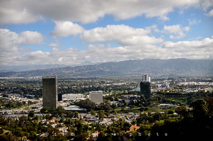 Yr5•182-365•1643•For the Birds