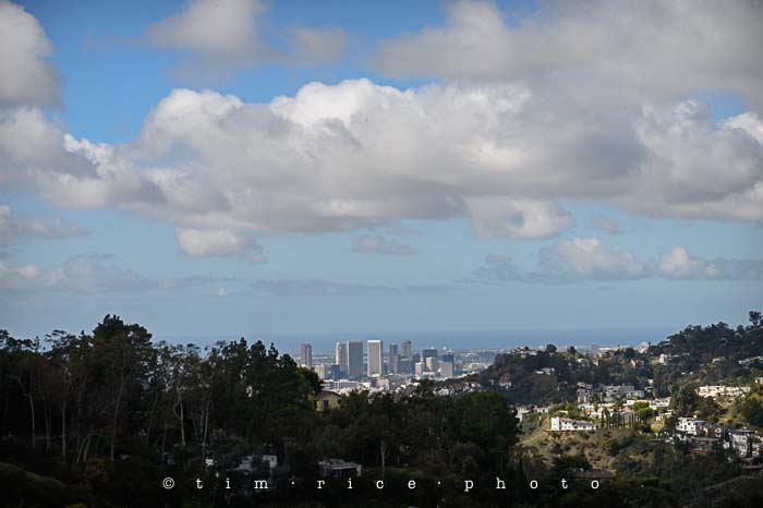 Yr5•183-365•1643•For the Birds