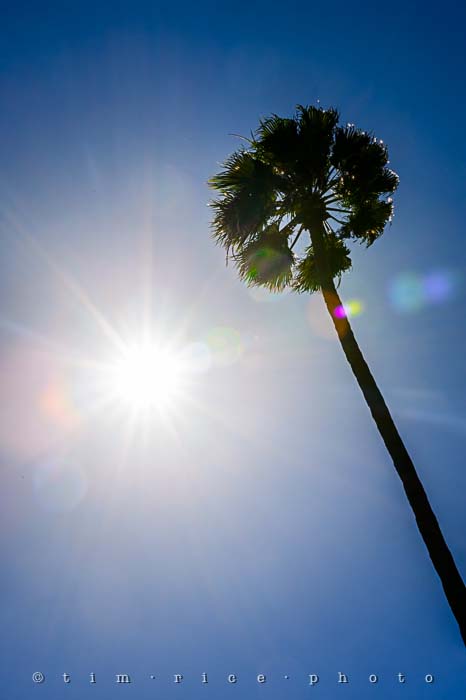 Yr5•183/365•1644 Higher Than April 2, 2014