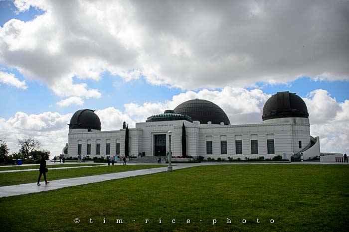 Yr5•184-365•1643•For the Birds