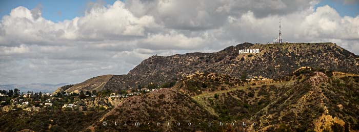 Yr5•185-365•1643•For the Birds