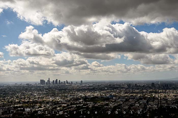 Yr5•186-365•1643•For the Birds