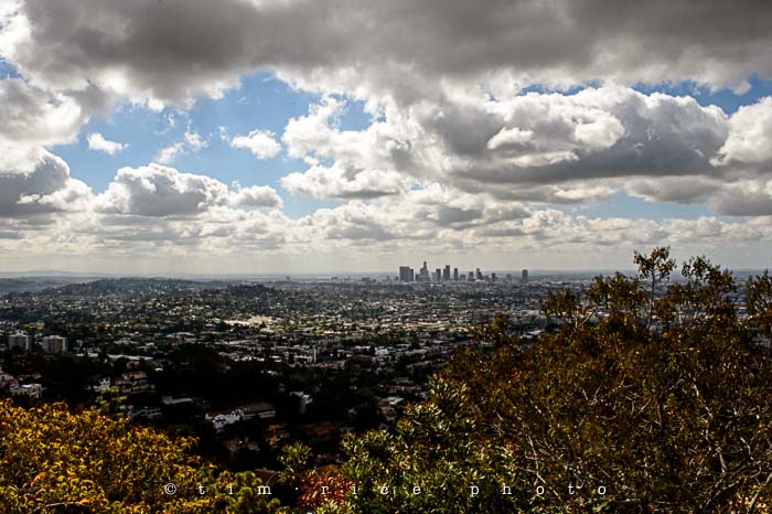 Yr5•187-365•1643•For the Birds