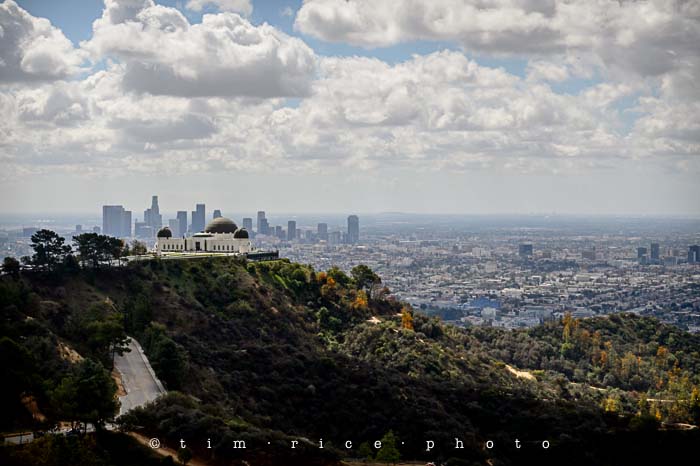 Yr5•189-365•1643•For the Birds