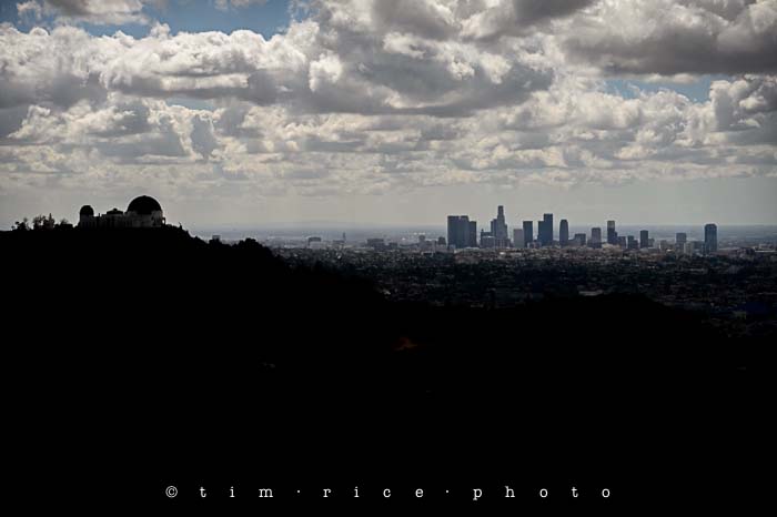 Yr5•190-365•1643•For the Birds