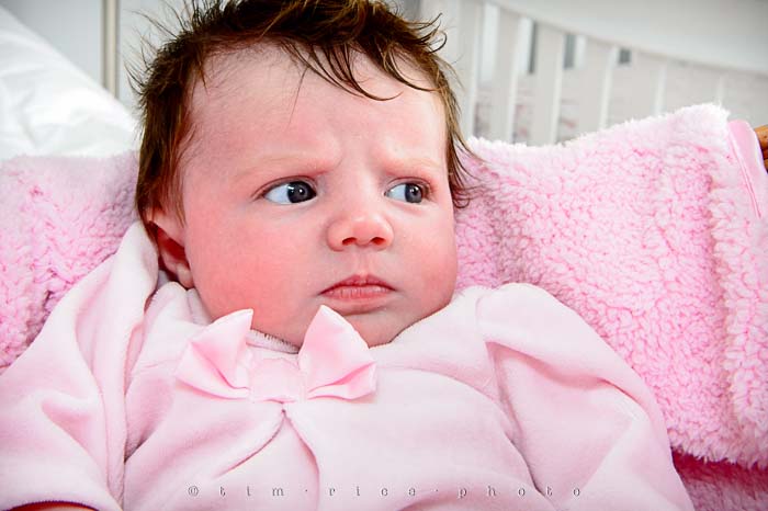 Yr5•193-365•1652•Madelyn