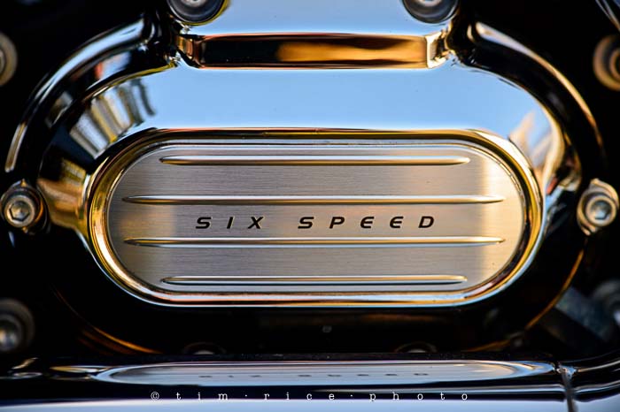 Yr5•199-365•1659•Make it Count