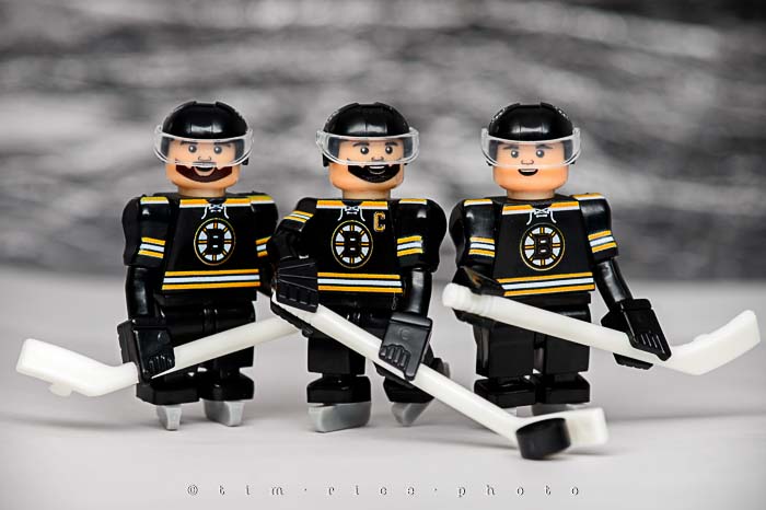 Yr5•199-365•1660•Your Boston Bruins