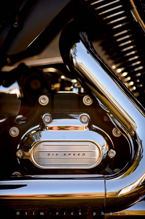 Yr5•200-365•1659•Make it Count