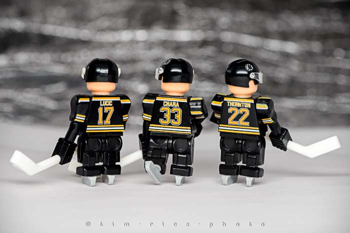 Yr5•200-365•1660•Your Boston Bruins