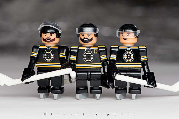 Yr5•202-365•1660•Your Boston Bruins