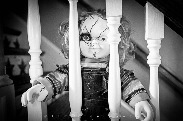Yr5•202-365•1661•Chucky Time