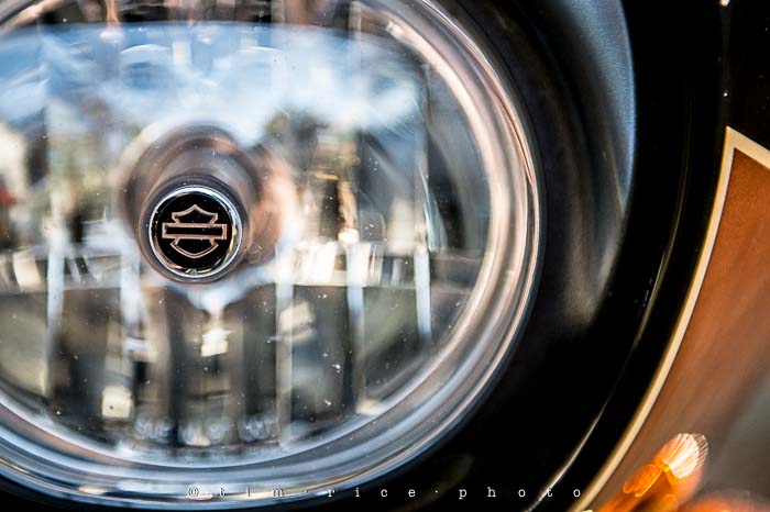 Yr5•205-365•1659•Make it Count