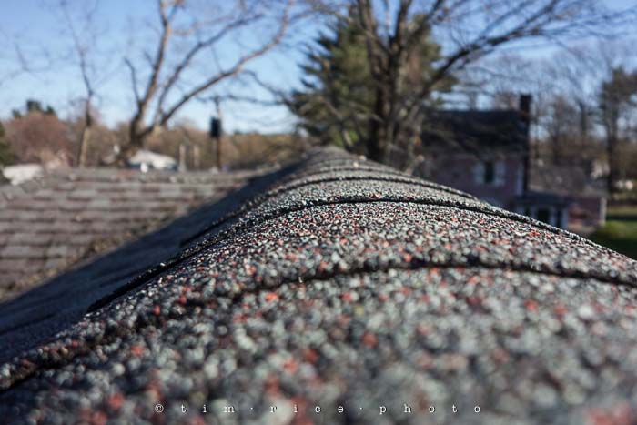 Yr5•205/365•1666 Up On The Roof April 24, 2014