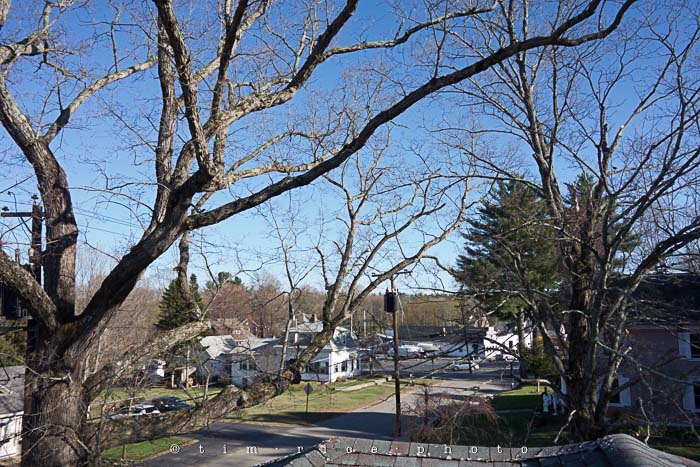 Yr5•208-365•1666•Up On The Roof