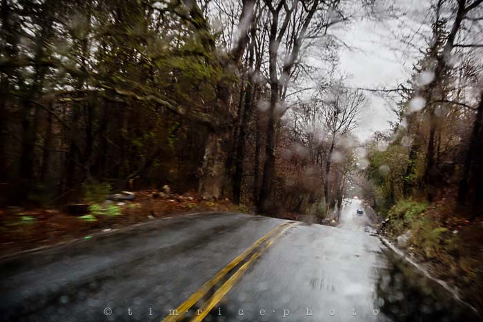 Yr5•213-365•1673•Driving Rain