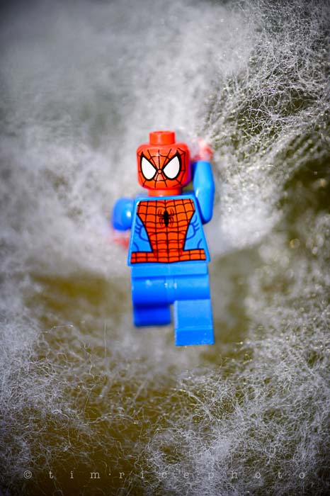 Yr5•213-365•1674•The Amazing Spider-Man