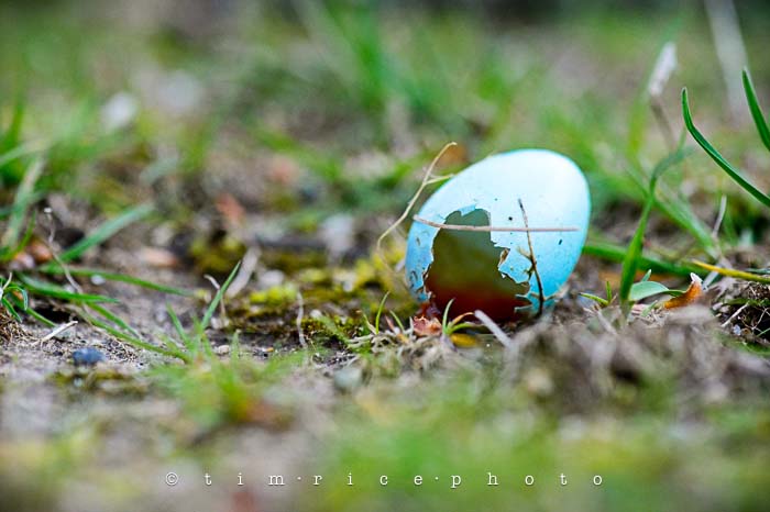 Yr5•216/365•1677 Sign of Times May 5, 2014