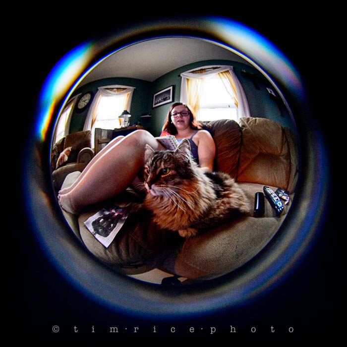 Yr5•224-365•1685•With a Fisheye