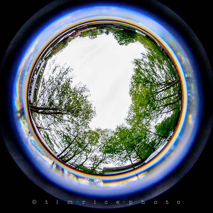 Yr5•226-365•1685•With a Fisheye