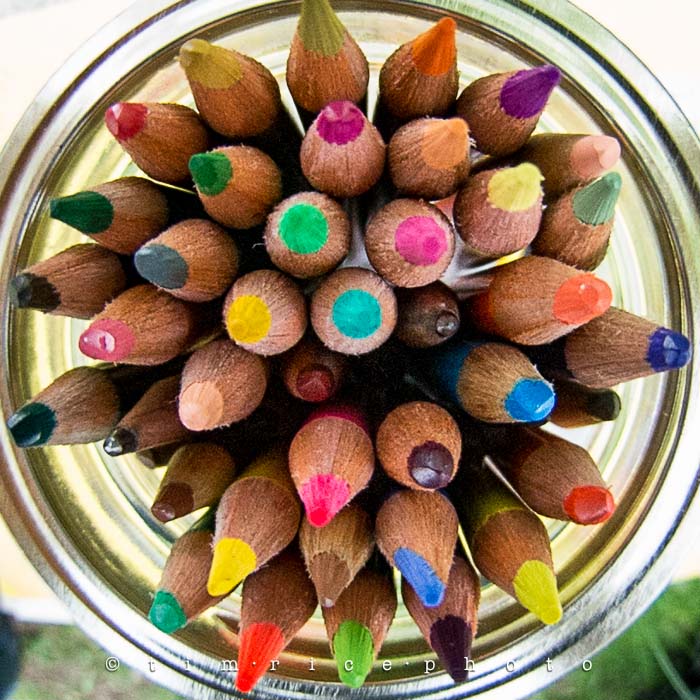 Yr5•226/365•1687 Pencils of Color May 15, 2014