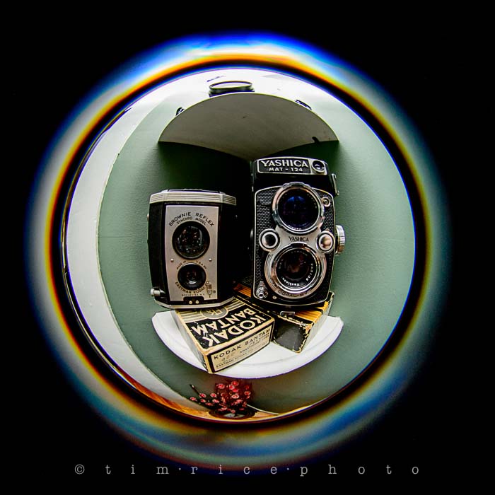 Yr5•229-365•1685•With a Fisheye