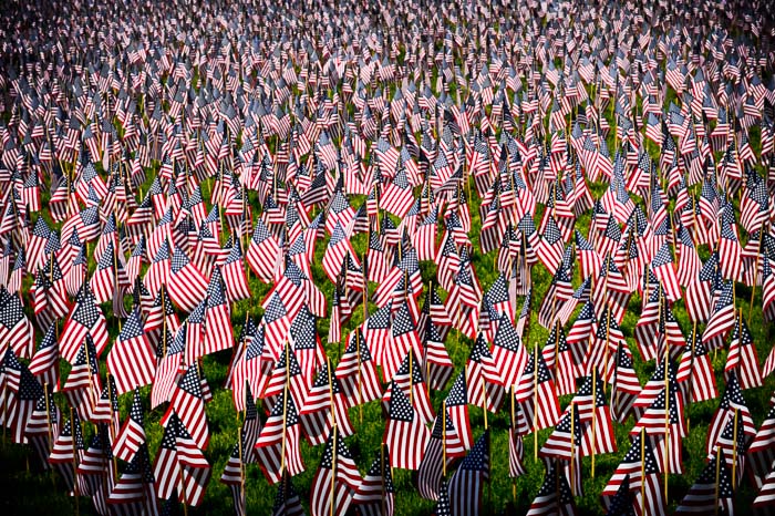 Yr5•239-365•1698•Flags in Boston