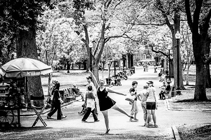 Yr5•245-365•1699•The Common Dance