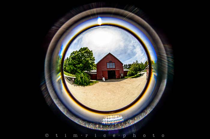 Yr5•244-365•1704•Sky Fish Eye