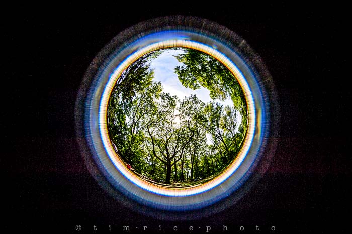 Yr5•246-365•1704•Sky Fish Eye