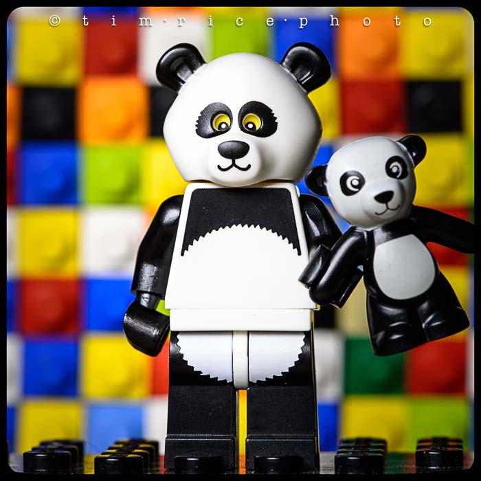 Yr5•246-365•1707•The Panda Guy