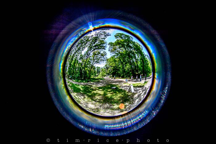 Yr5•247-365•1704•Sky Fish Eye