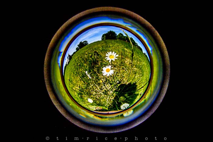 Yr5•248-365•1704•Sky Fish Eye