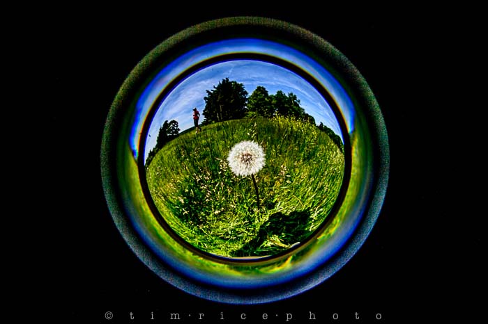 Yr5•249-365•1704•Sky Fish Eye