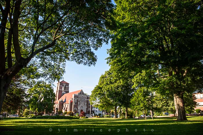 Yr5•258/365•1719 St Marys Through Trees June 16, 2014